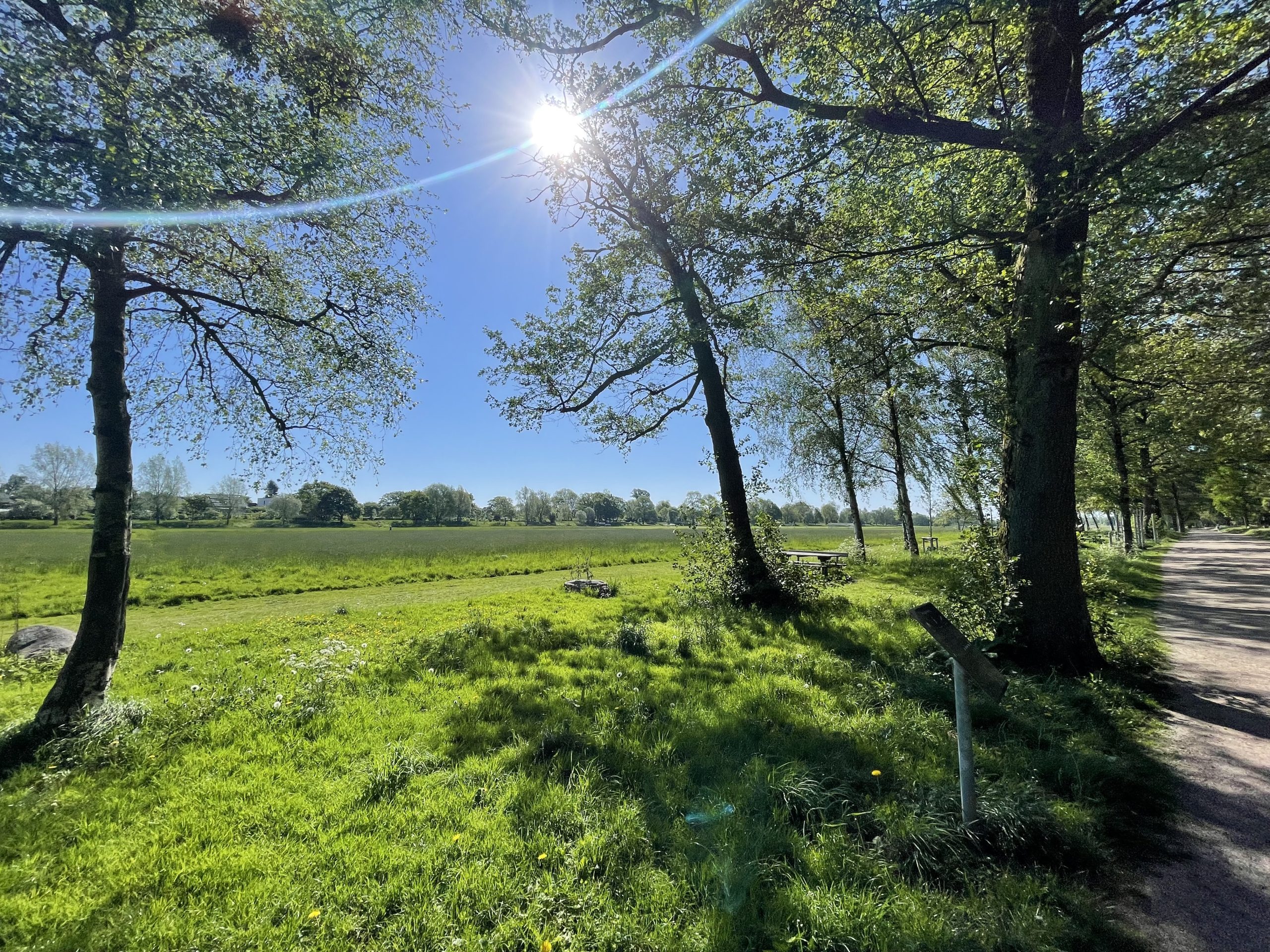 Lørdagsløb - 11 km kl 8:15