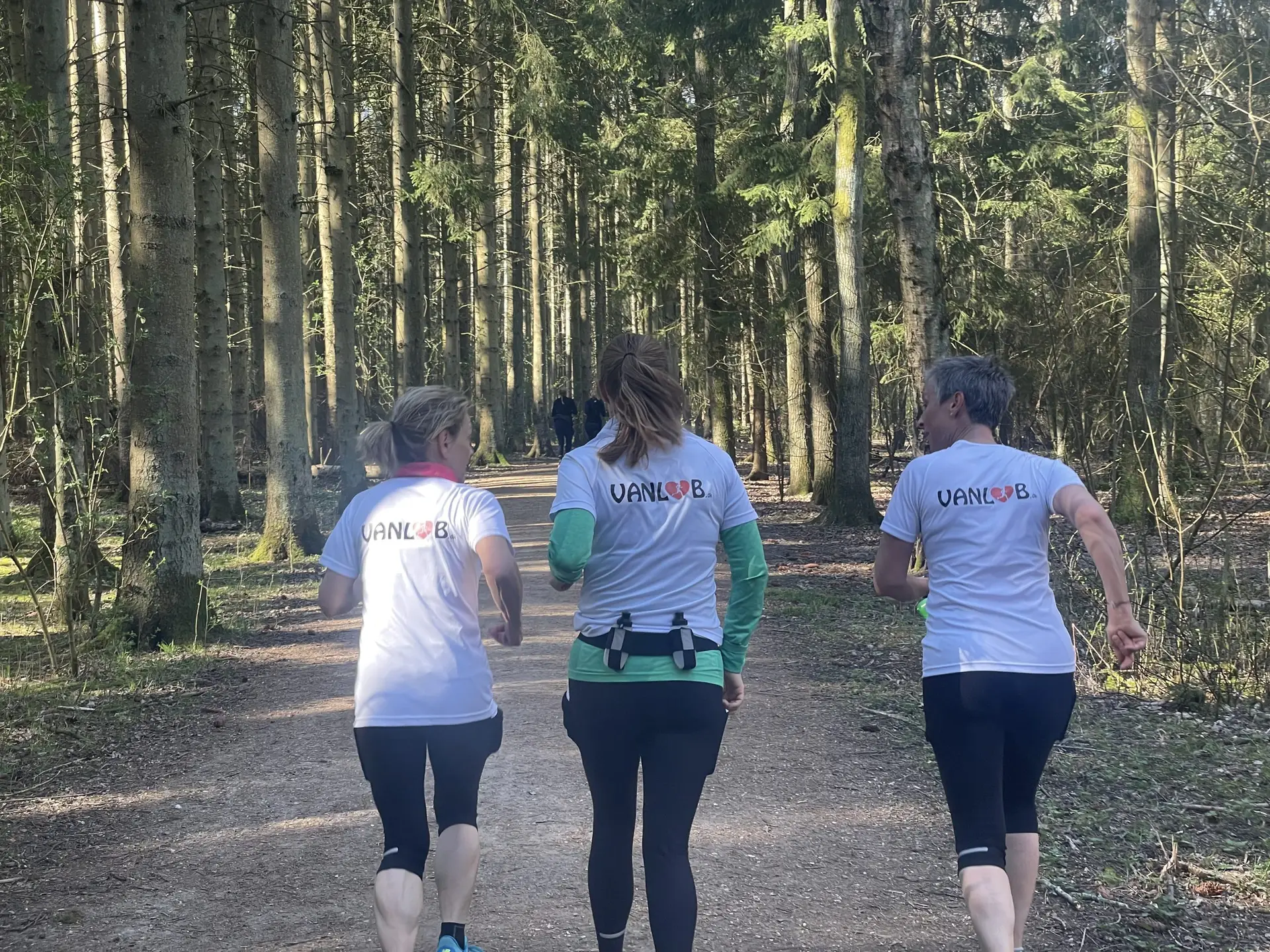 3,5 - 14 km tur til Brøndbyskoven.