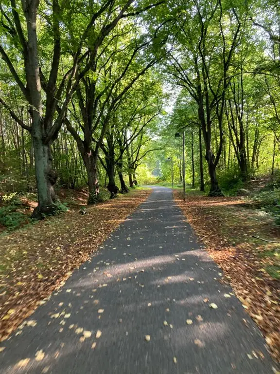 3,5 - 13 km tur til Brøndbyskoven.