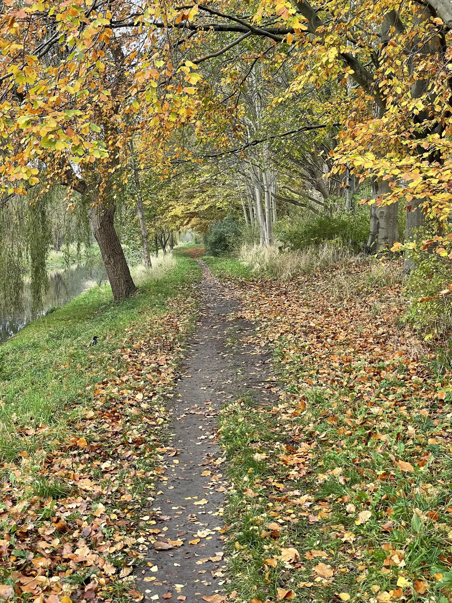 ca 12 km tur i vigerslevsparken