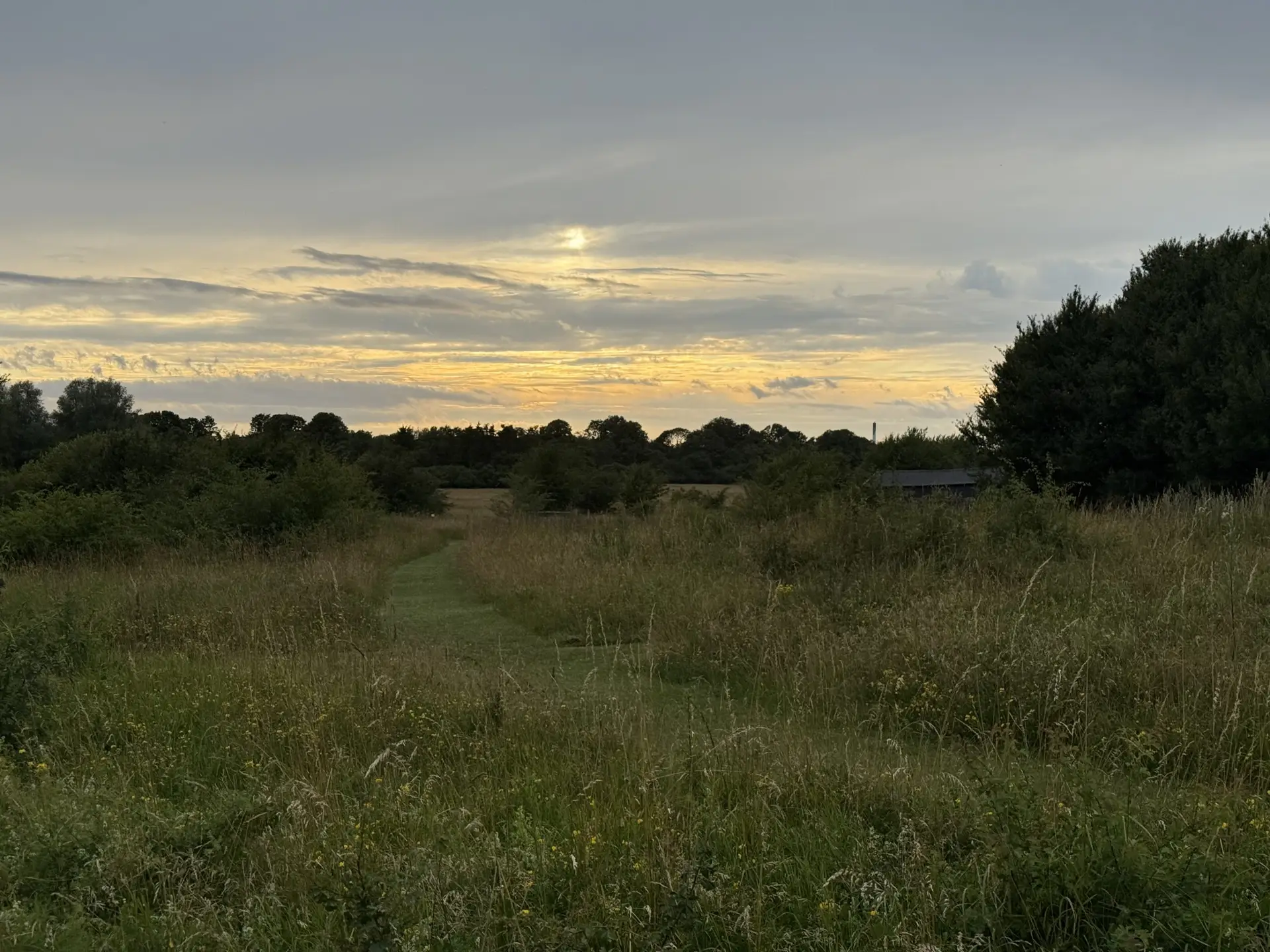 10 km - Brøndbyskoven/volden med trolden Bakketop Trine