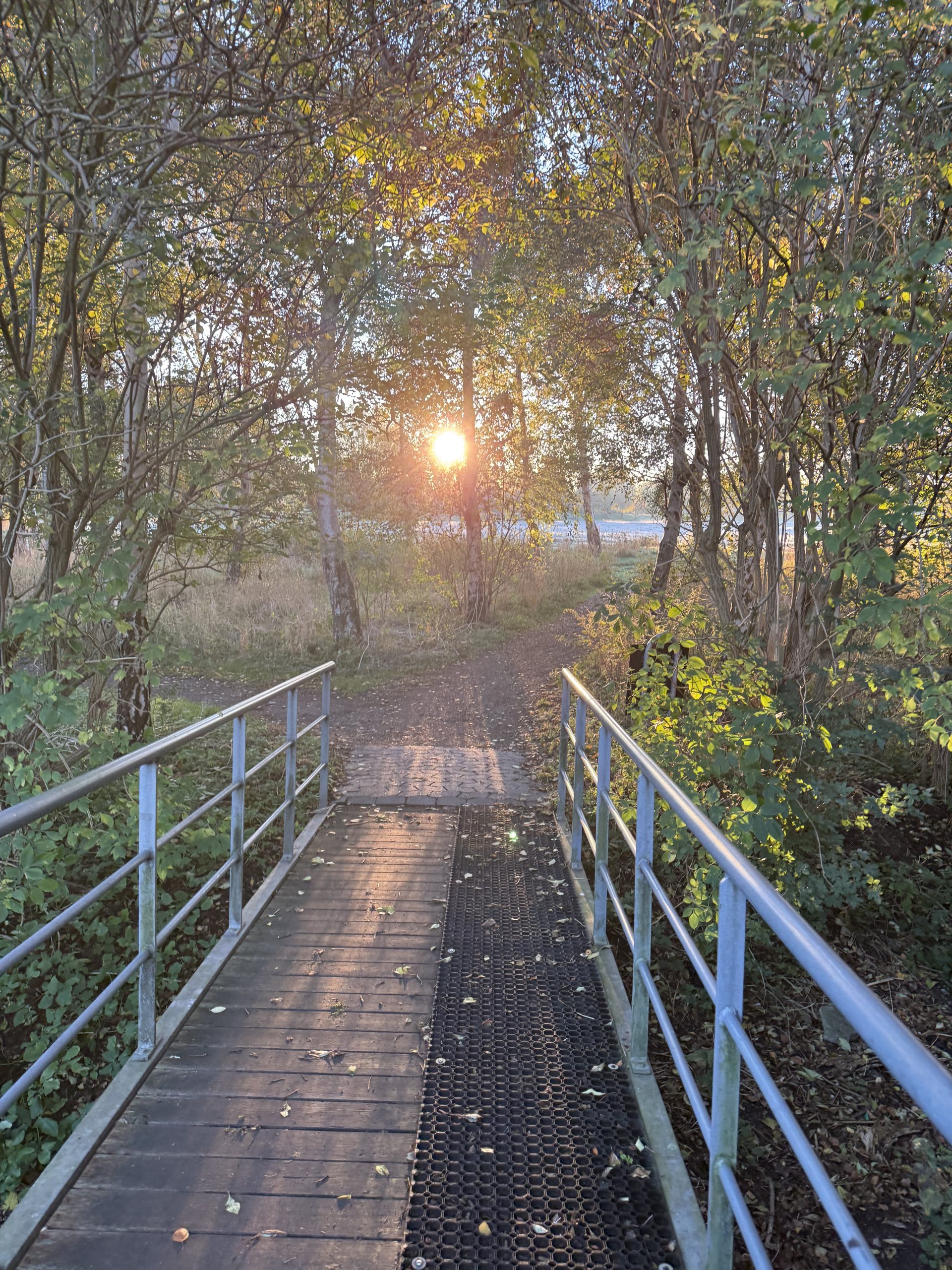 Lørdagsløb fra Avarta